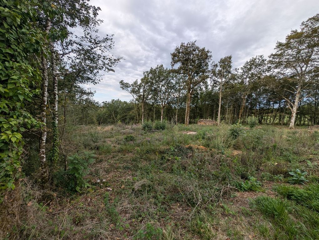 Terrain LA CASSAGNE (24120) AGENT EXCLUSIF.COM
