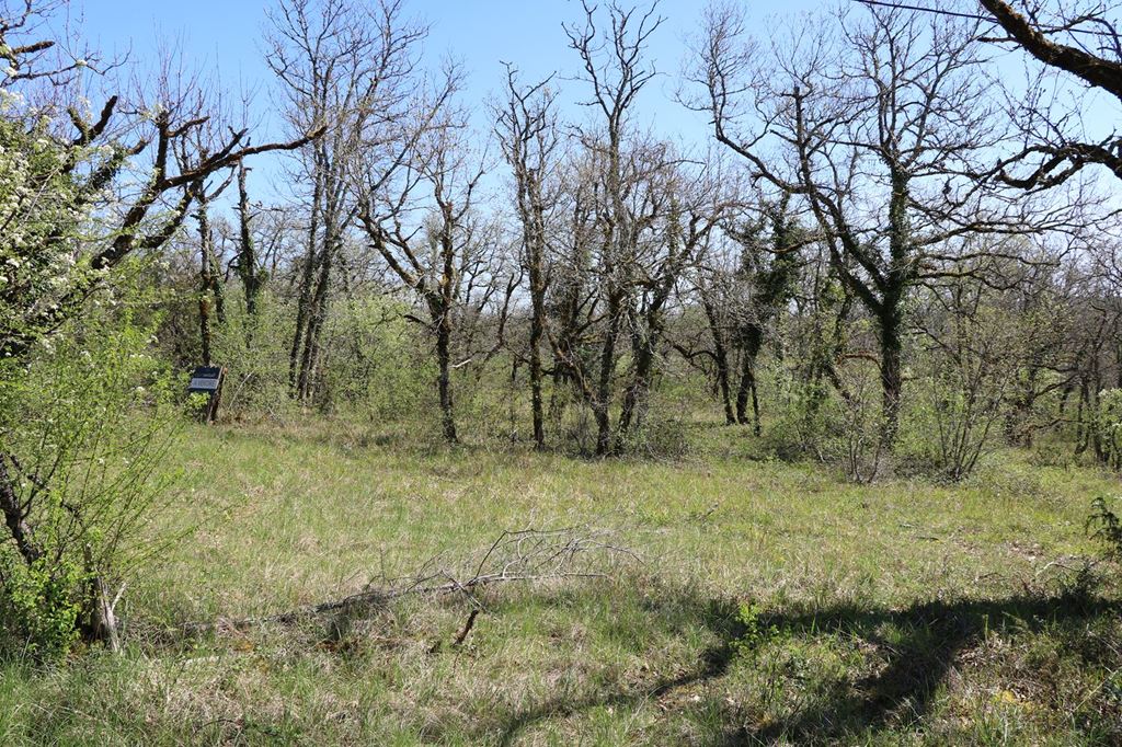 Terrain LA DORNAC (24120) AGENT EXCLUSIF.COM