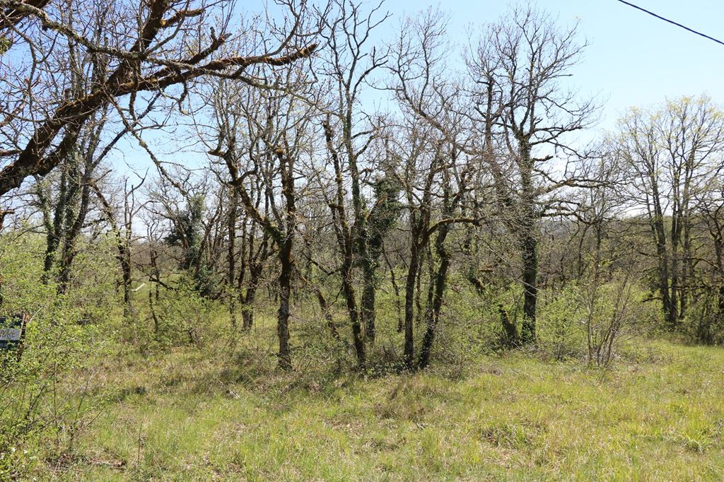 Terrain LA DORNAC (24120) AGENT EXCLUSIF.COM