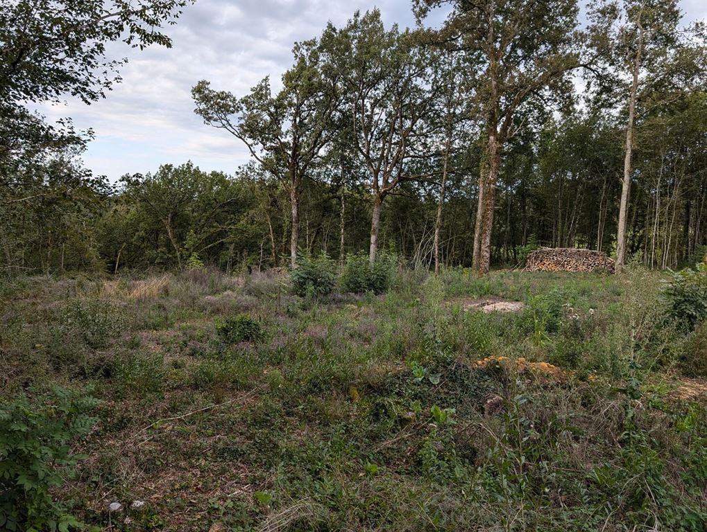 Terrain LA CASSAGNE (24120) AGENT EXCLUSIF.COM