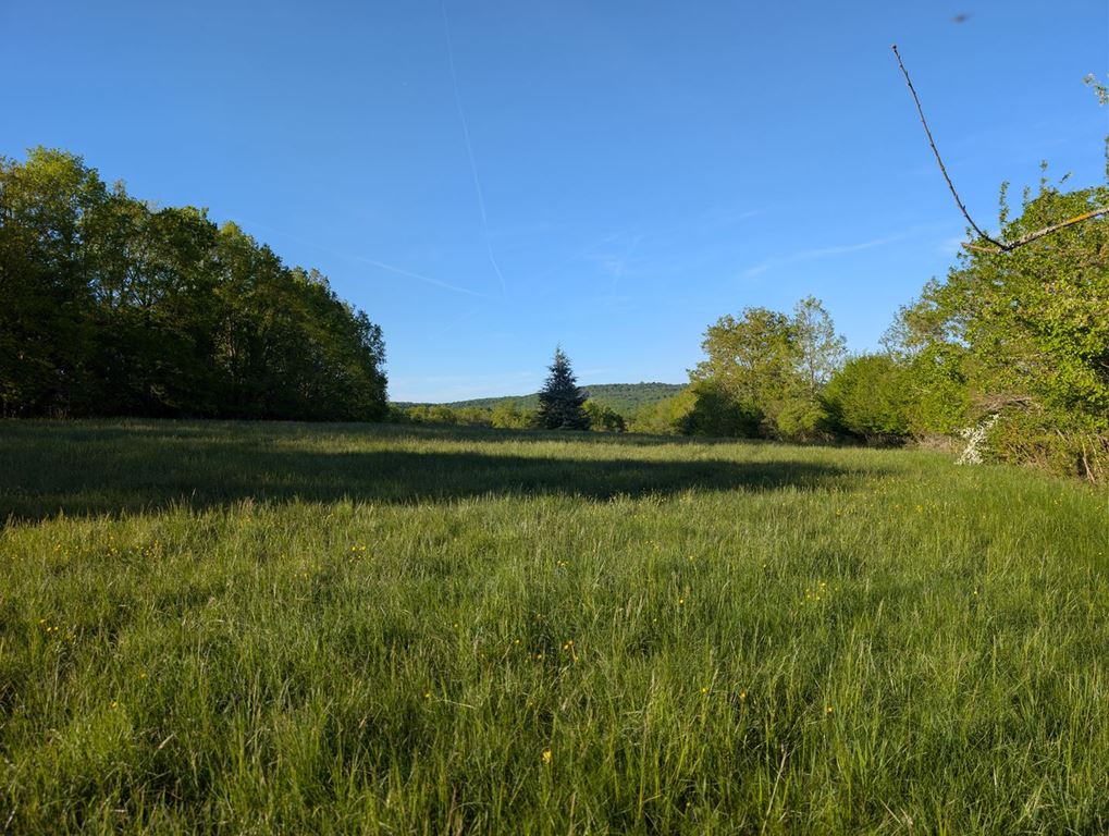 Terrain LA CASSAGNE (24120) AGENT EXCLUSIF.COM